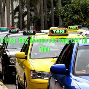 Số điện thoại tổng đài của các hãng taxi tại Quảng Ninh