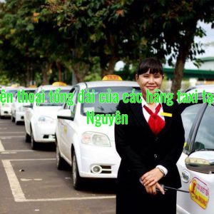 Số điện thoại tổng đài của các hãng taxi tại Thái Nguyên